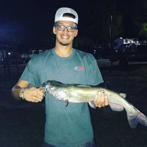 Meet your Posher, Matthew